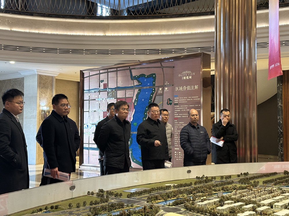 黨委書記、董事長汪洋調(diào)研開封項目并指導(dǎo)經(jīng)營發(fā)展工作